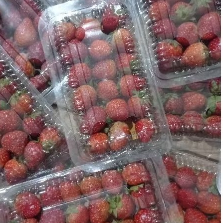 

Buah strawberry / strawberi 100 gr