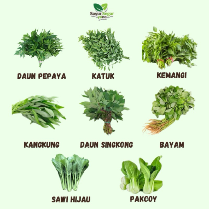 

SAYURAN FRESH! Kangkung/Bayam/Daun Singkong/Katuk/Daun Pepaya/Sawi Hijau/Pakcoy/Kemangi PER IKAT