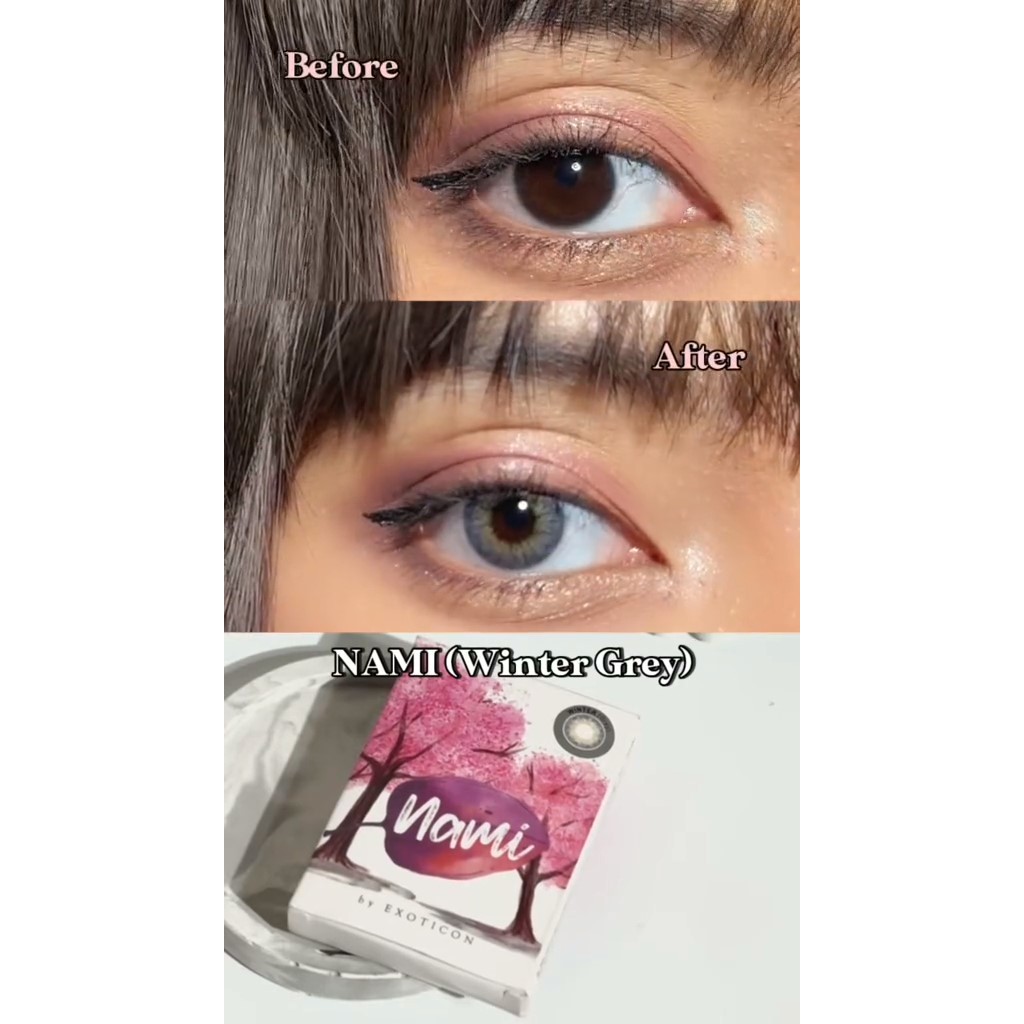 [Normal] Instant✅ 14,5mm Softlens Nami Winter Gray / exoticon