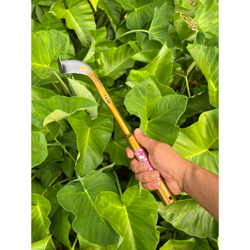 PISAU SADAP KARET CAMEL GOLD