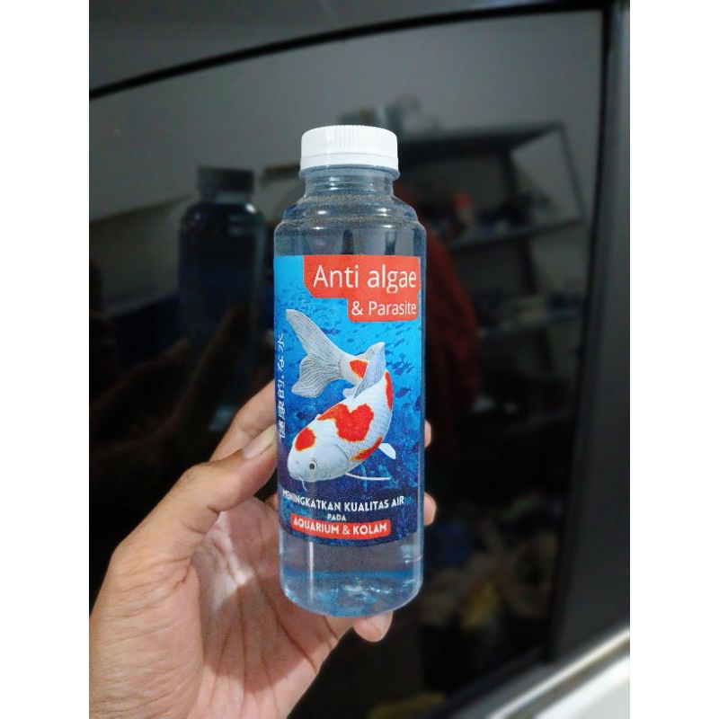 Anti Algae Kolam Aquarium Obat anti Alga Lumut dan Parasit
