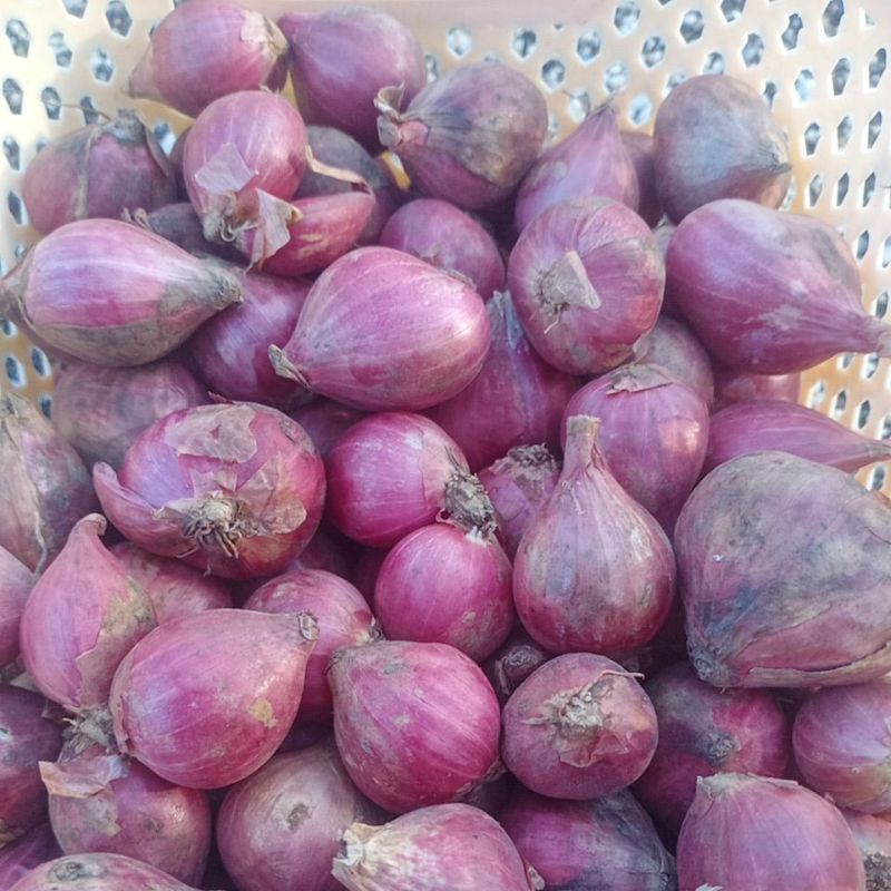

bawang merah Probolinggo 1/2kg