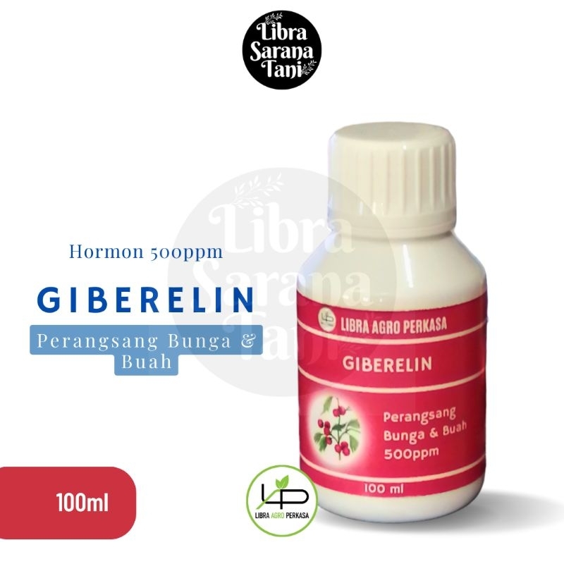 Hormon Giberelin Murni 500ppm pembesar buah 100ml