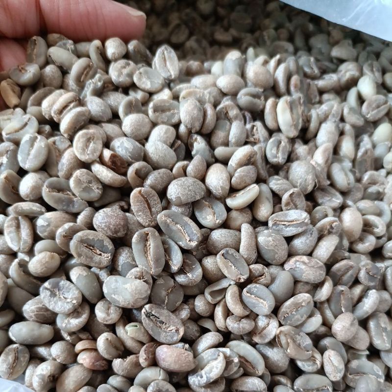 

Green Bean Arabika Flores Washed