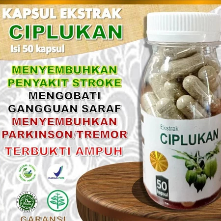 Ciplukan Obat stroke ampuh terbukti herbal suplemen untuk terapi saraf & otak isi (50 kapsul)