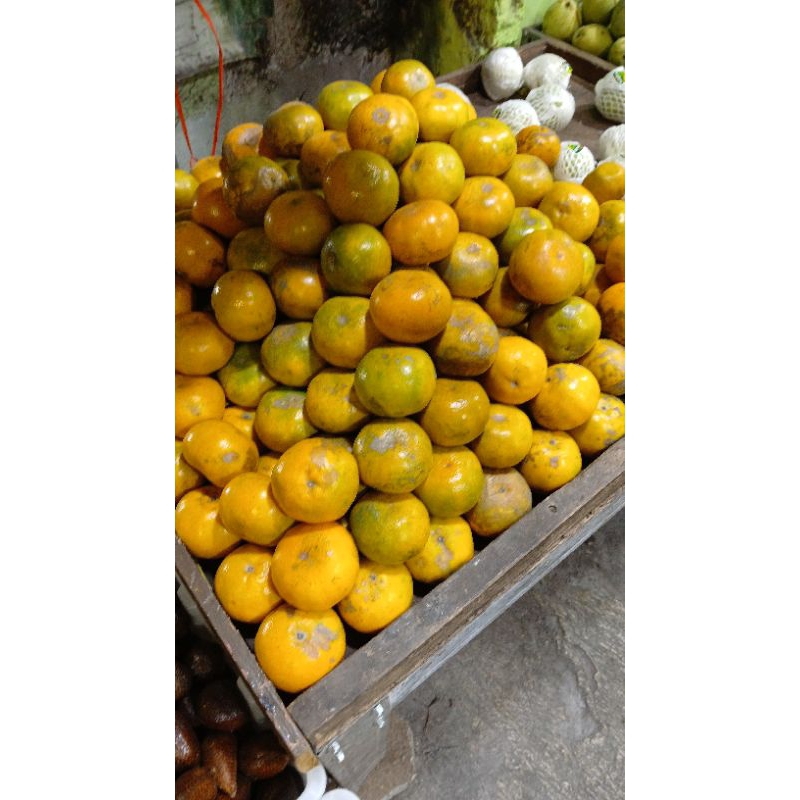 

jeruk medan paket 10 kg