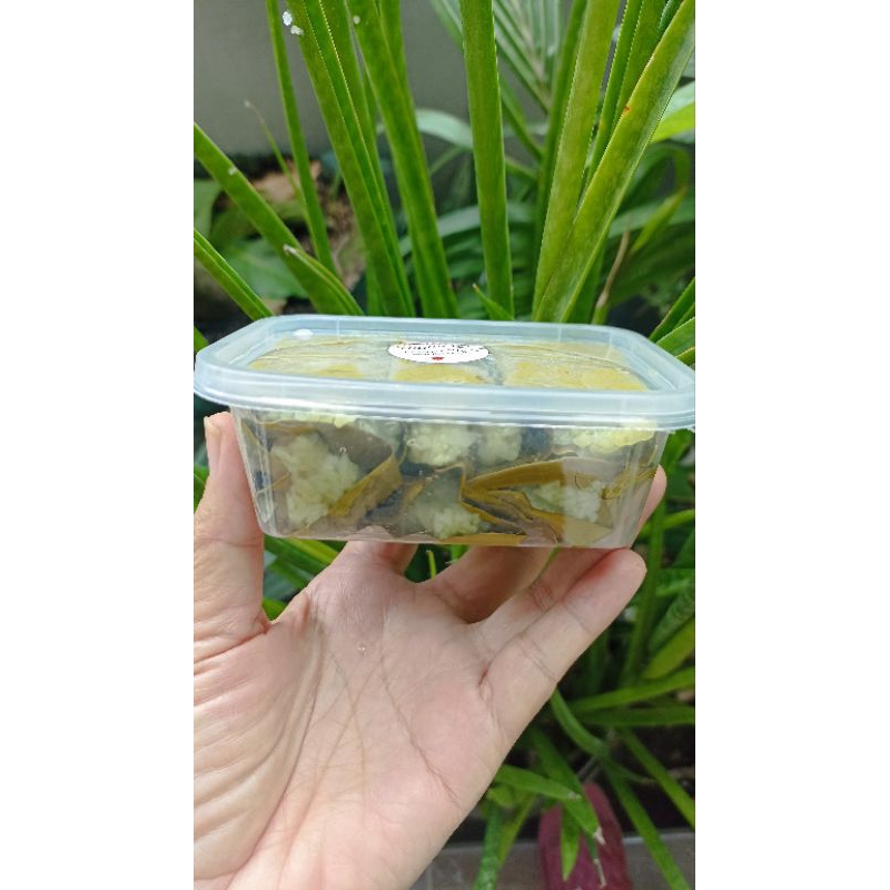 

Tape ketan/ tape ketan daun jambu/tape manis - isi 6 buah