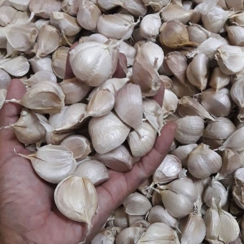

BAWANG PUTIH KATING 1 KG