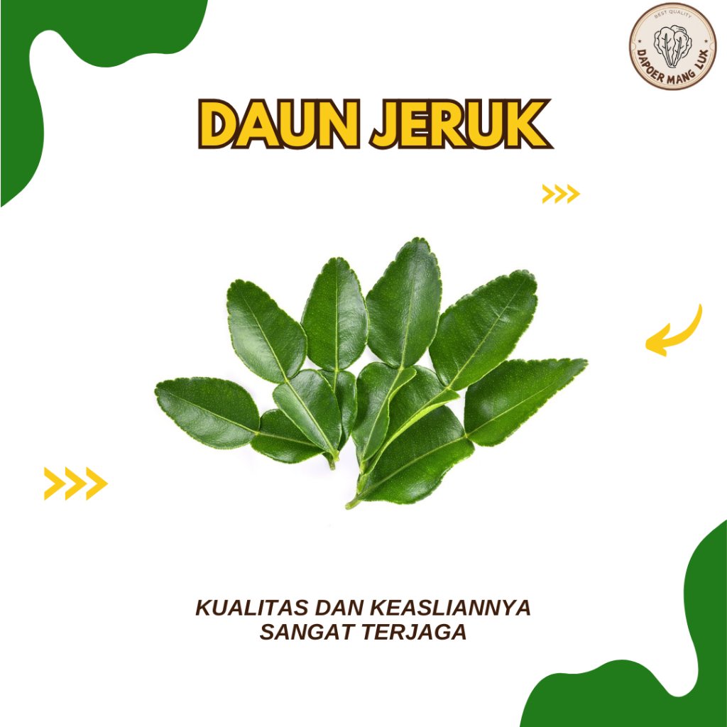 

DAUN JERUK BEST QUALITY
