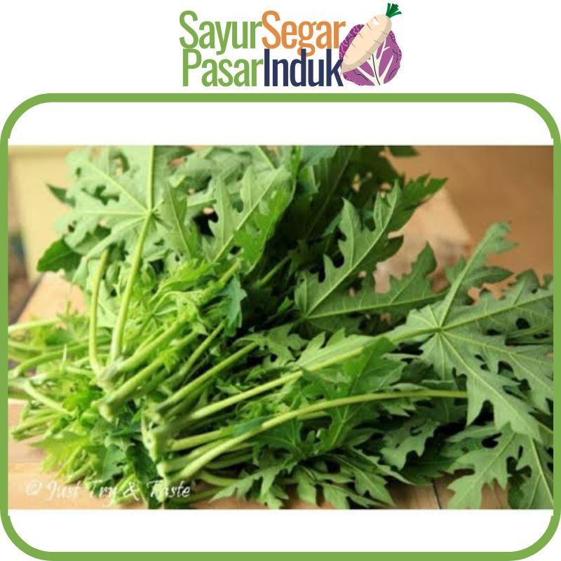 

Daun Pepaya 1 ikat sayur segar pasar induk