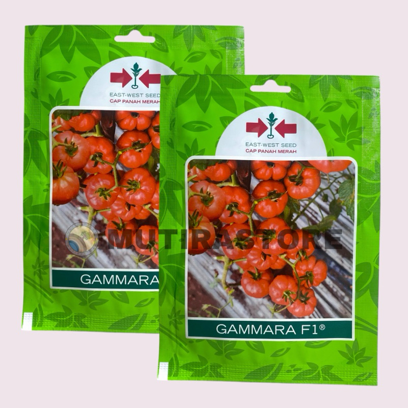 benih tomat keriting mawar gammara fi isi 150 butir cap panah merah