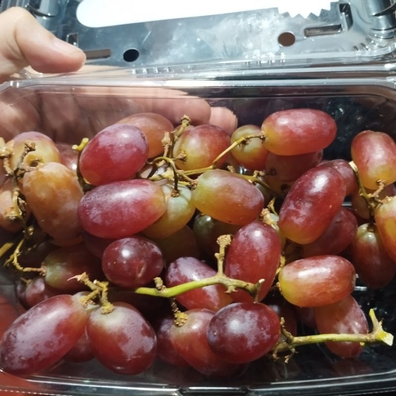

1 pack anggur Crimson ( manis tanpa biji)