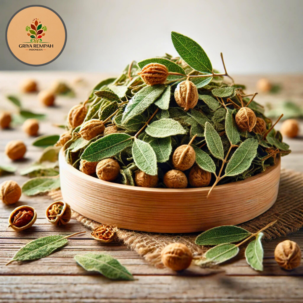 

DAUN BIDARA ARAB KERING 500 GRAM – Widara Sidr Ramuan Rempah Herbal Jamu Tradisional untuk Kesehatan & Perawatan Tubuh Simplisia Ziziphus spina-christi