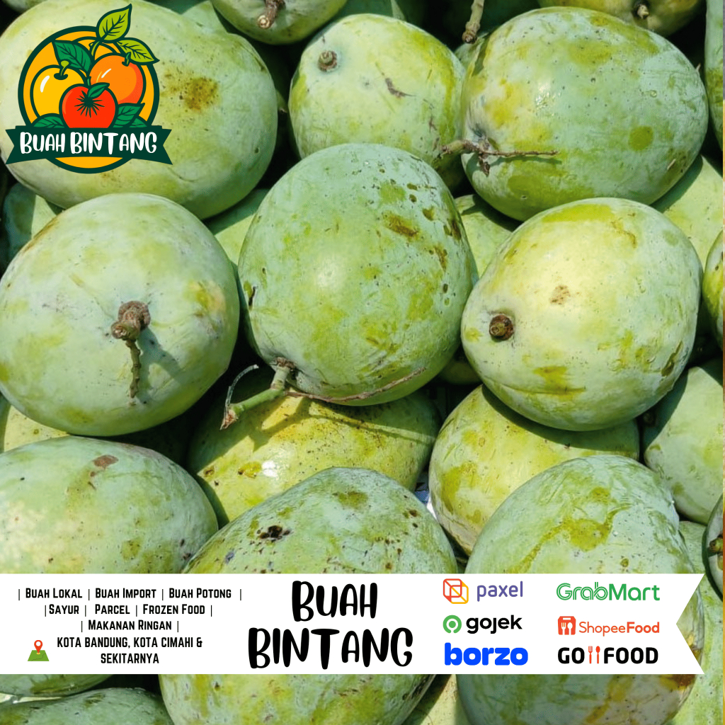 

Mangga Cengkir 1 Kg / 1.5 Kg - Buah Bintang