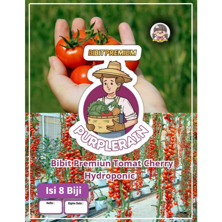 Bibit Premium Tomat Cherry Hydroponic|Biji Benih Tomat Ceri Hydroponik