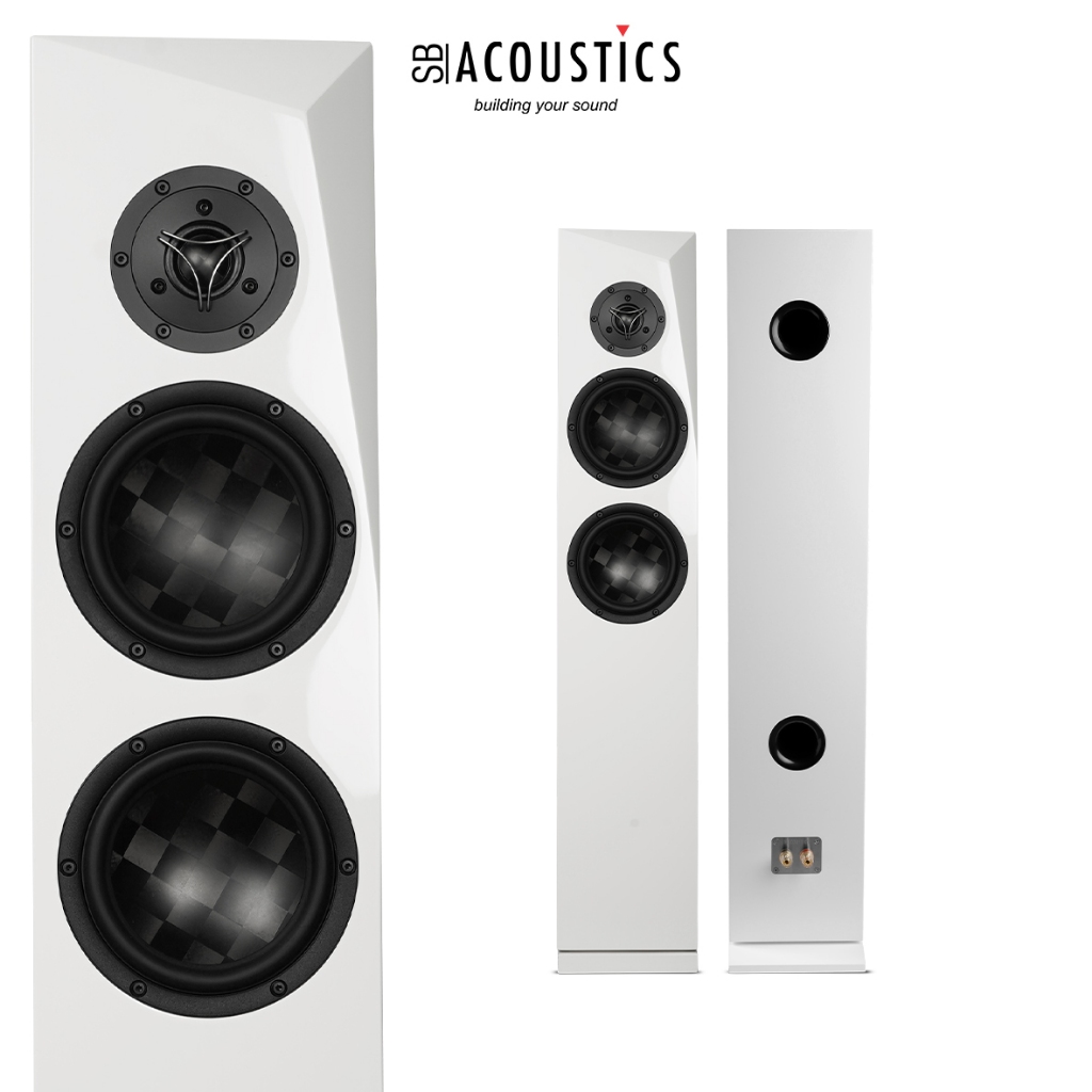 SB Acoustics Speaker Kits Complete RINJANI-TX