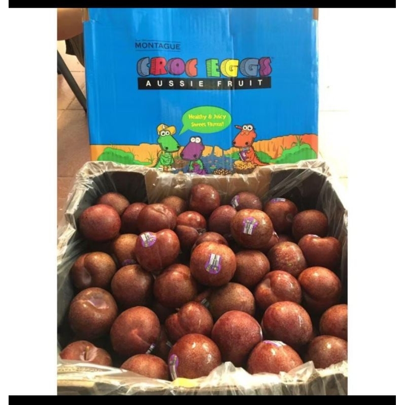 

crog egg plum red phonik / 1 biji berat 125