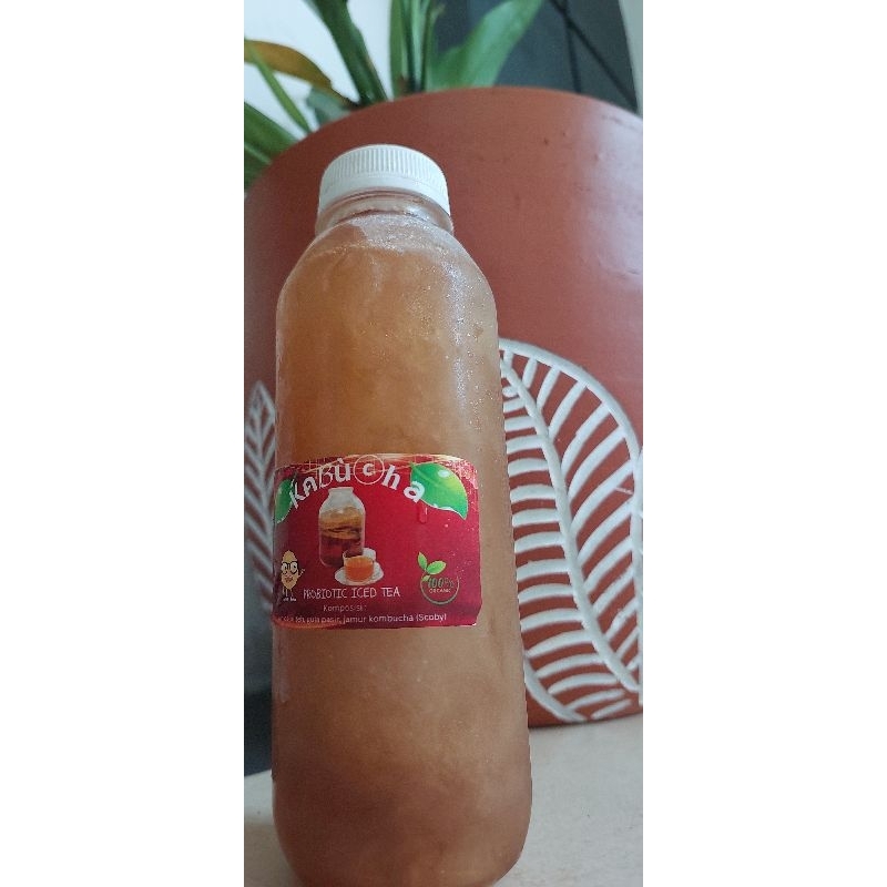 

KOMBUCHA Minuman Kesehatan Probiotik baik untuk USUS #minumankesehatan #minumanherbal #minumanalami #minumanuntukusus