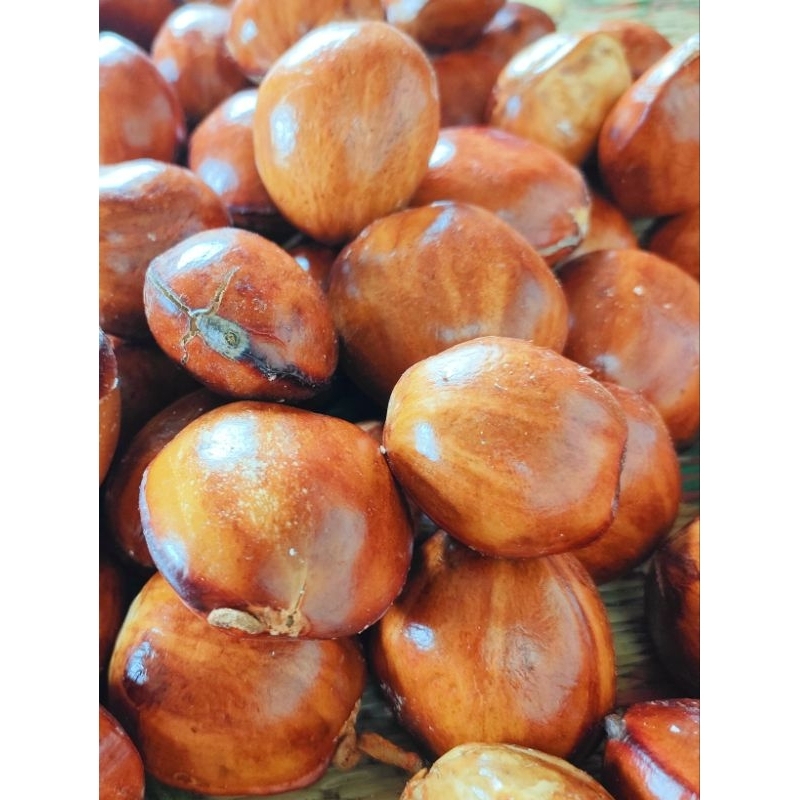 

jengkol tua mentah 1 kg premium