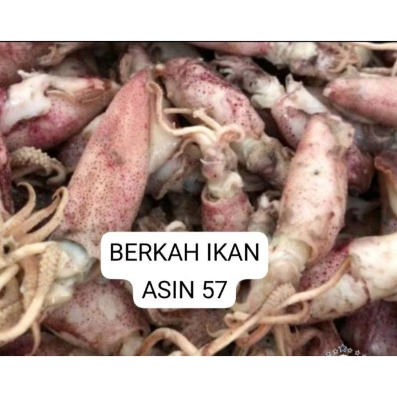 

OBRAL MURAH!!!250g BEBY CUMI ASIN KERING FRES PREMIUM