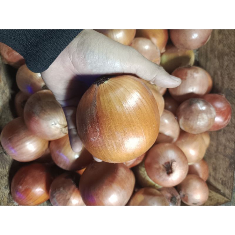 

MURAHhhh.. bawang bombay 60/80 super fresh 1000 gr. di jamin super dan bagus. barang selalu ready. silahkan di c/out.