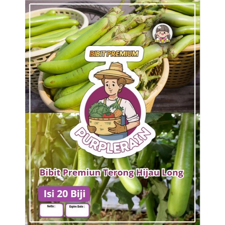 Bibit Premium Terong Hijau Long | Biji Benih Terong Hijau Panjang