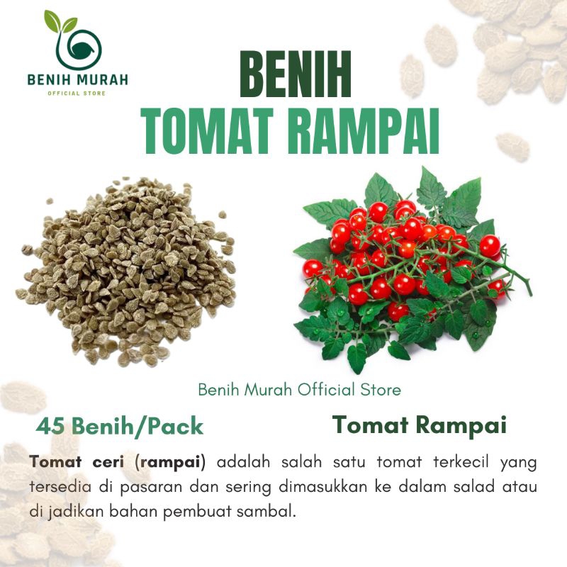 

Biji Bibit Tomat Cerry Rampai Jenis Benih Tomat Ceri Mini