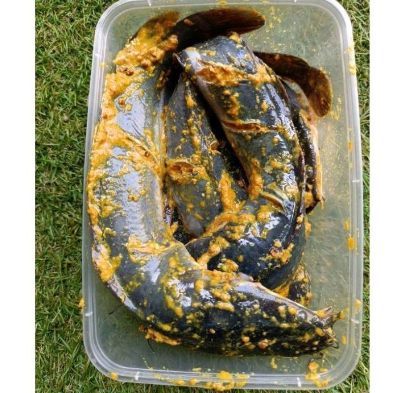 

LELE MARINASI BUMBU KUNING (500GR)