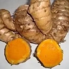 

temulawak temu frees 1 kg