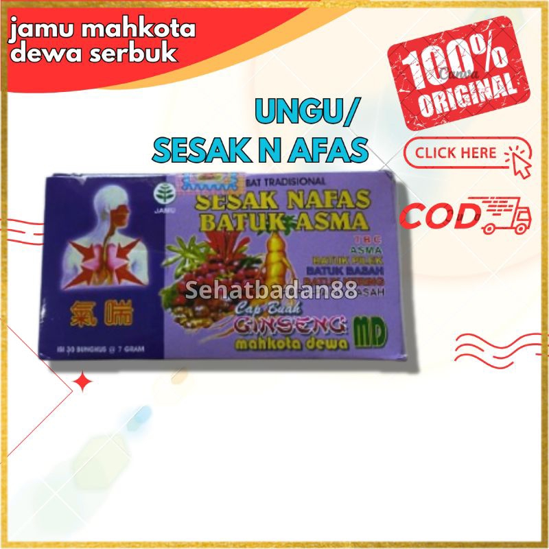 mahkota dewa sesak nafas [ ungu ]