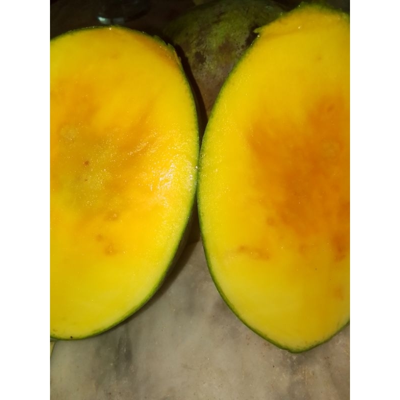 

mangga manalagi 1 kg