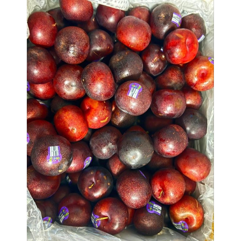 

BUAH PLUM AUSSIE SEGAR 1KG