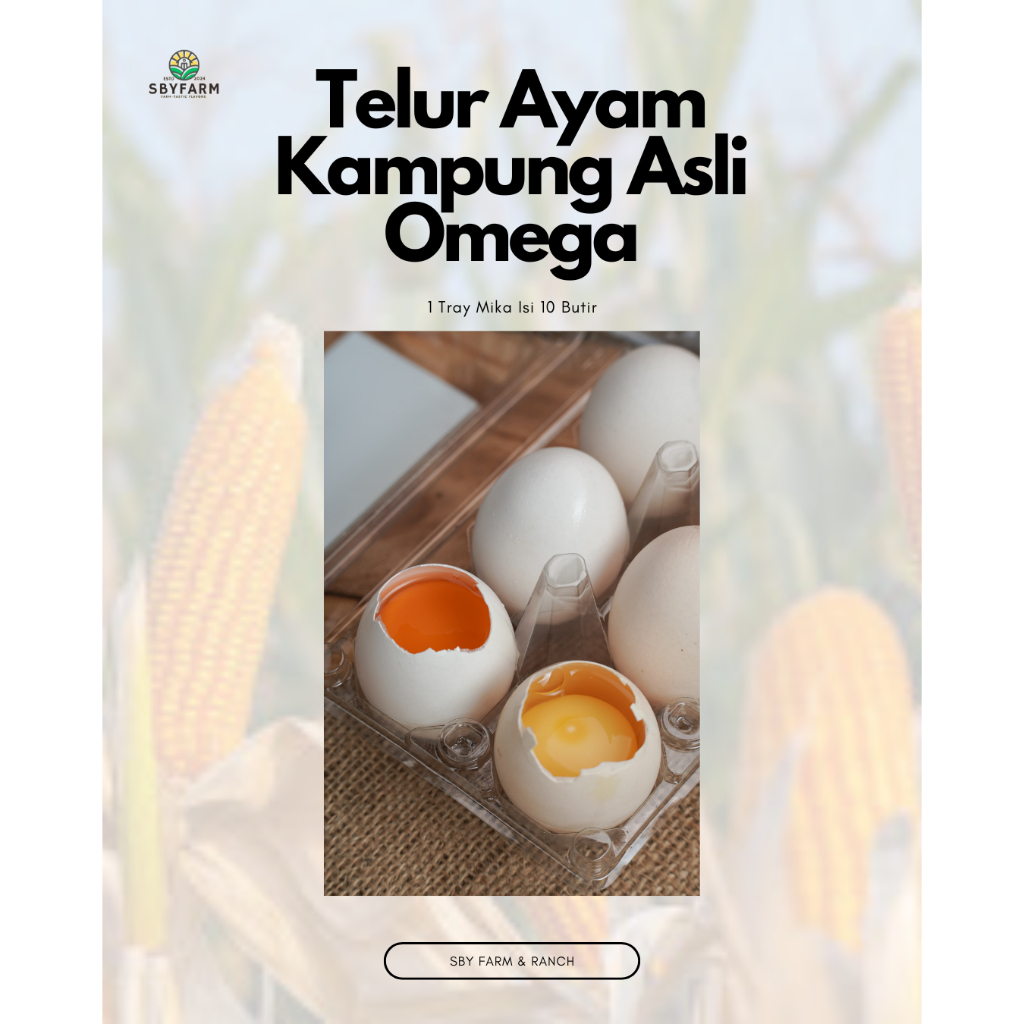 

Telur Ayam Kampung Asli 1 Tray Mika Isi 10 Butir - SBY Farm & Ranch - Negeri OMEGA 3 - 30 pcs GRADE A Fresh Bersih Kualitas Terbaik horn (By grab/gojek-instant) pcs Sayurbox Negeri Kiloan NEGRI / INDOFARM ™/ ORGANIK Segar "GRADE A" harga telur puyuh bebek