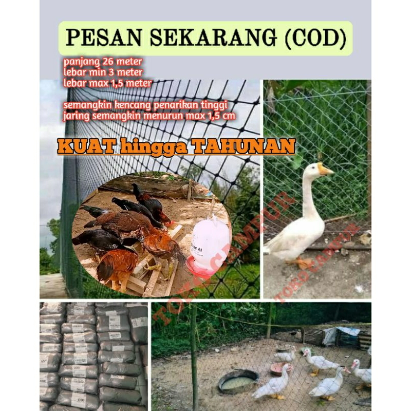 TERLARIS jaring pagar AYAM kampung,#jaringpagarayam, #jaring1.2, jaring pagar dan aksesorisnya, anek