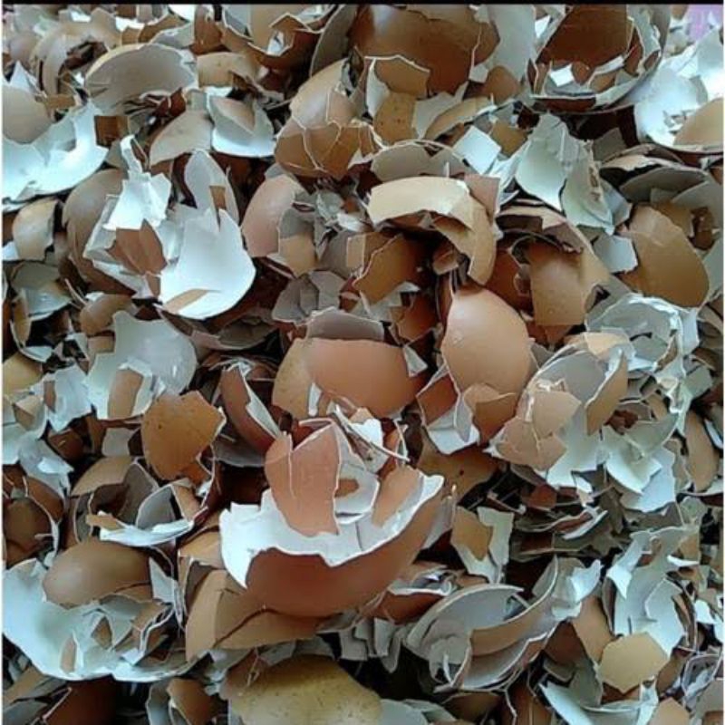 

KULIT TELUR / CANGKANG TELUR KASAR 1kg