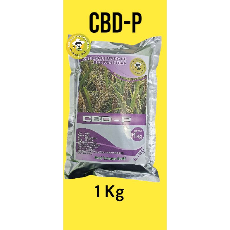 Benih padi CBD_P Original aceh (1kg)