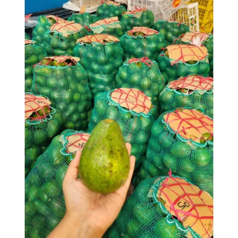 

Alpukat mentega