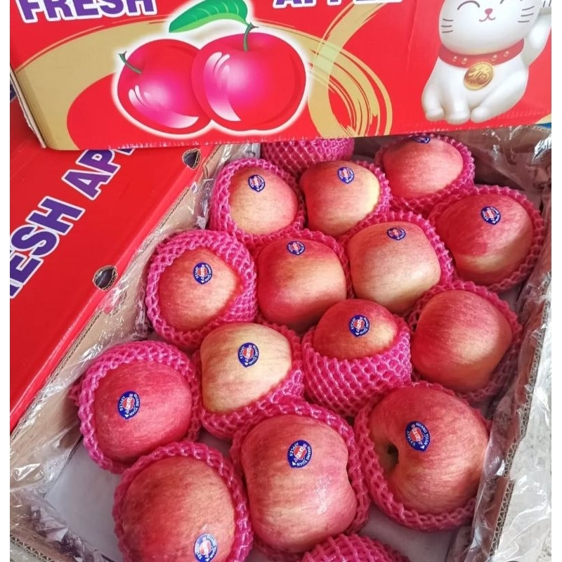

Apel Fuji 1 kardus 9 kg