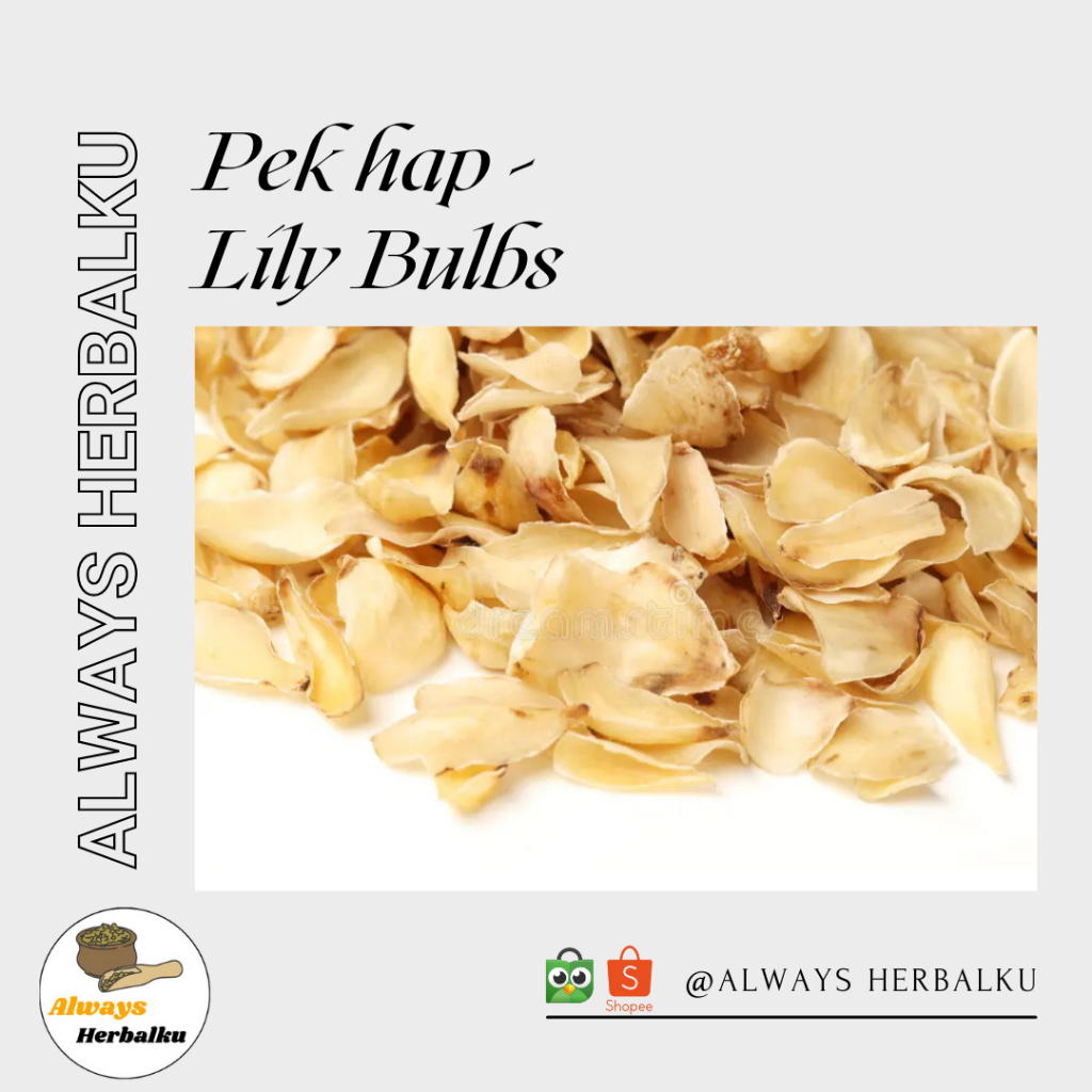 

Bekhap / Bai he / Lily bulb / Bulbus lili / Bek hap / Pek hap (100 gram)