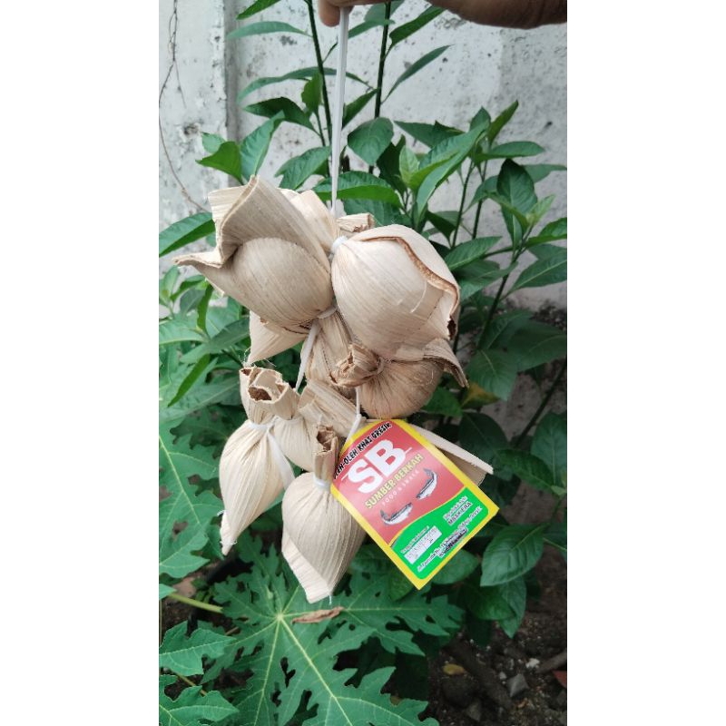 

pudak - oleh-oleh khas Gresik - aneka varian rasa