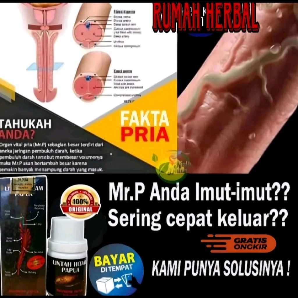 MINYAK LINTAH ASLI PAPUA MINYAK PEMBESAR VITAL PRIA PEMBESAR PENIS100%AMPUH MINYAK LINTAH ASLI PAPUA