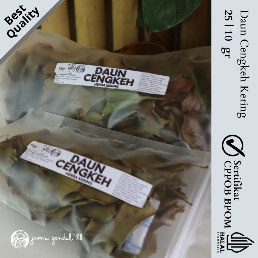 

Daun Cengkeh Kering - Herba Kering by Jamu Gendul 88 Kualitas Premium