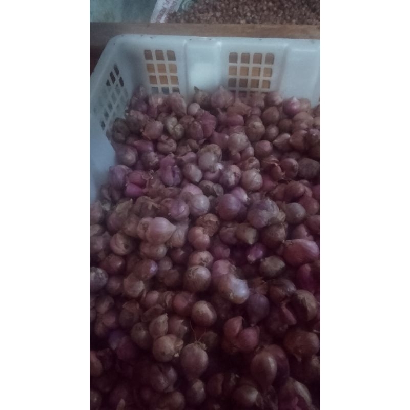 

BAWANG MERAH