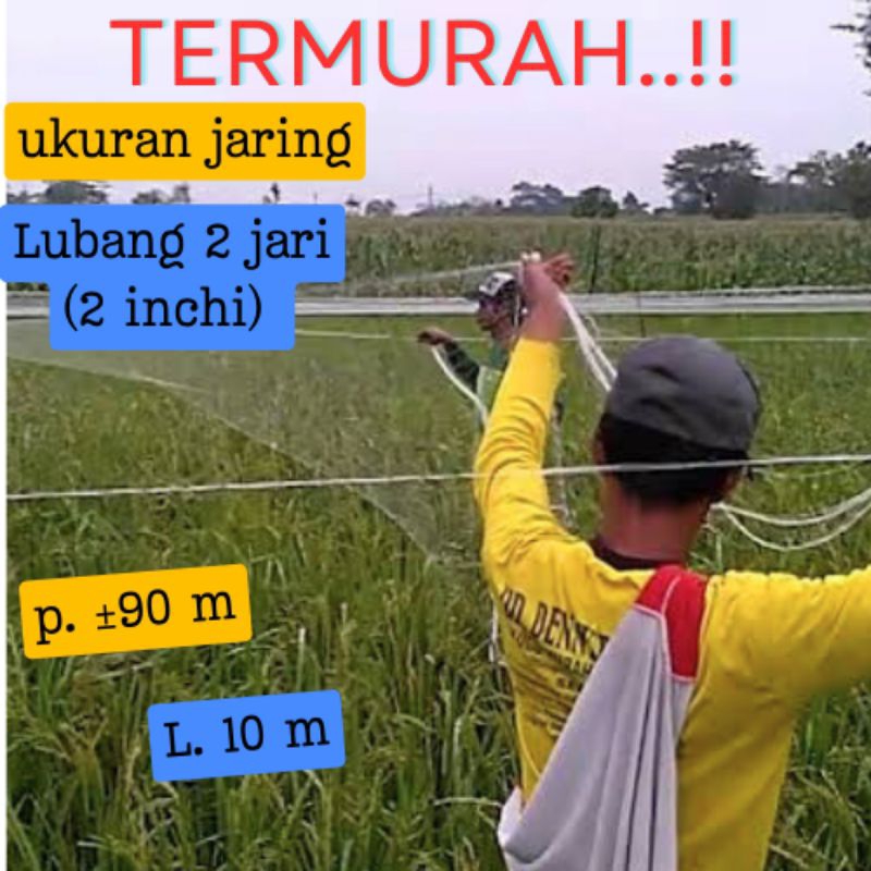 Jaring sawah pelindung tanaman padi jaring burung sawah jaring lubang 2 jari panjang ±90meter jaring