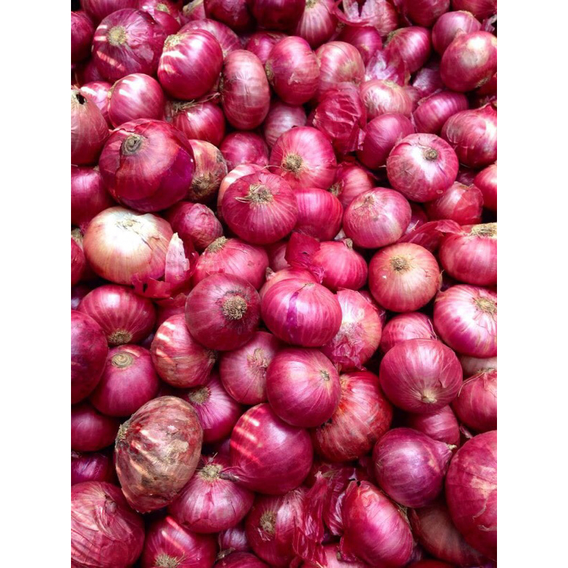 

Bawang Merah 100 gr - 1 kg
