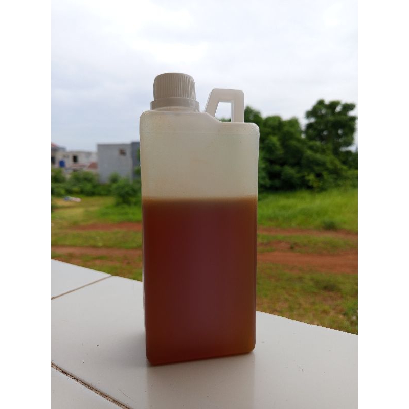 

Promo Madu hutan Sialang 500&1000 gram, madu hutan asli murni tanpa campuran, murni 100%