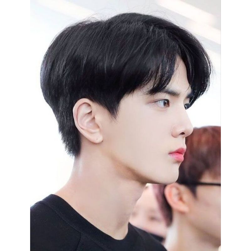 WIG PRIA KOREA BELAH TENGAH/WIG RAMBUT PSLSU BELAH TENGAH