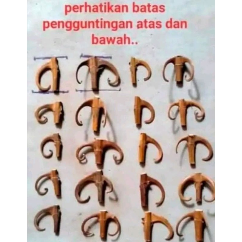 

shuang gou teng/Cakar elang/kait-kait herbal 100gr