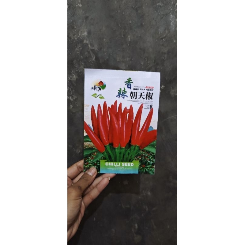 

cabe rawit mahkota dompol