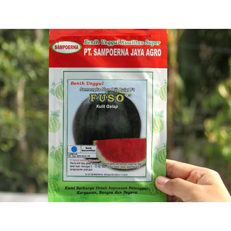 benih semangka non biji bulat FUSO